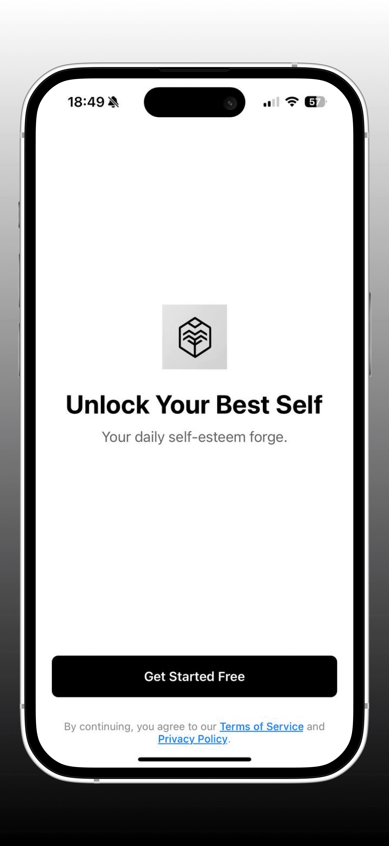 EsteemForge app landing page and main interface
